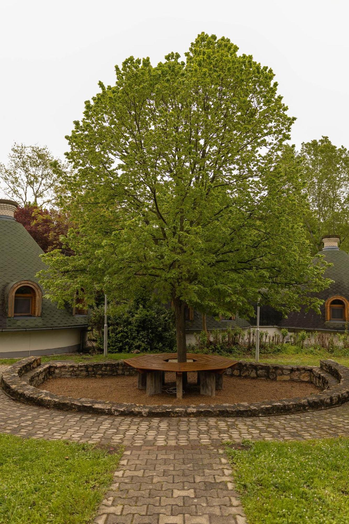 Gesztenye Nyaralopark Balatonudvari Luaran gambar